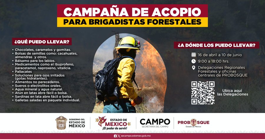 Conoce los centros de acopio y dona suministros para los brigadistas.