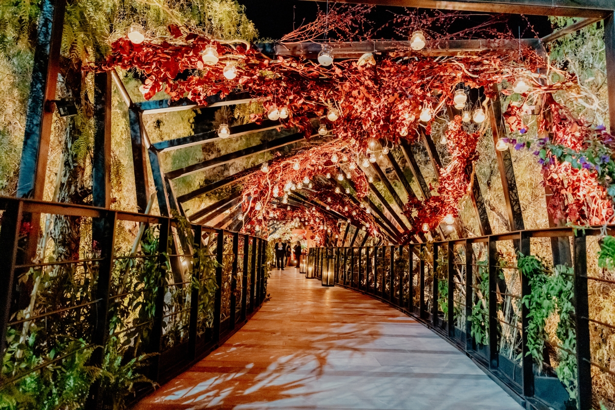 Beneficios exclusivos para bodas en Live Aqua San Miguel de Allende