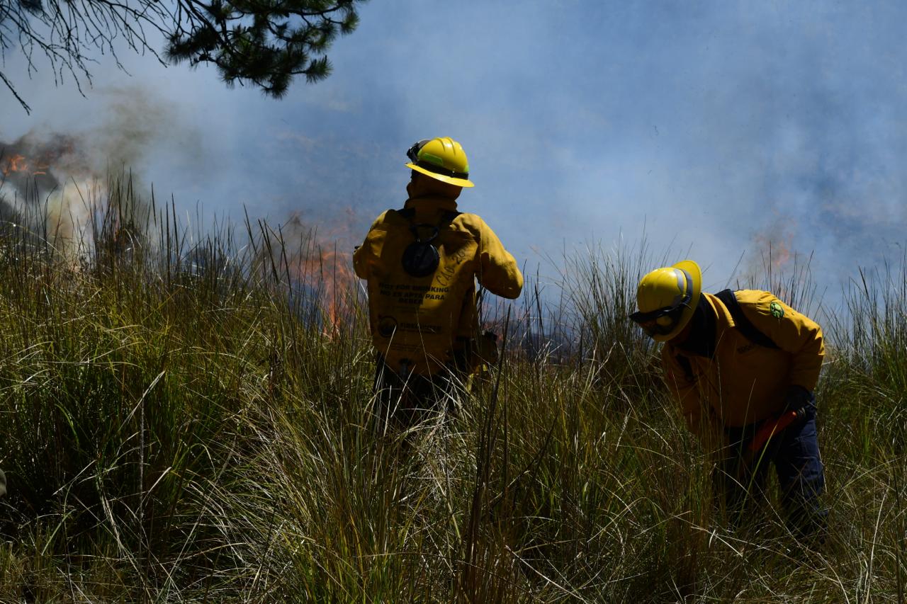 Personal de brigadas trabajando en conjunto para controlar el incendio.