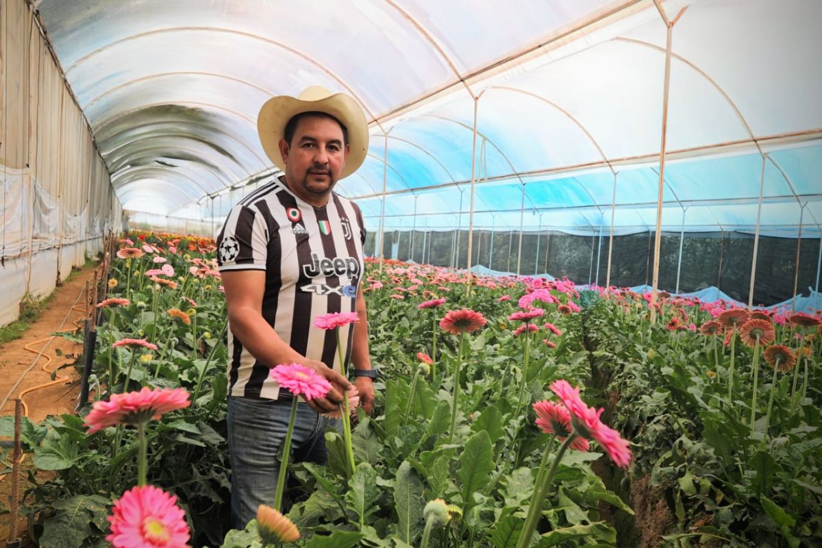 Con apoyo estatal, pequeños floricultores reciben insumos y tecnología para fortalecer su producción.