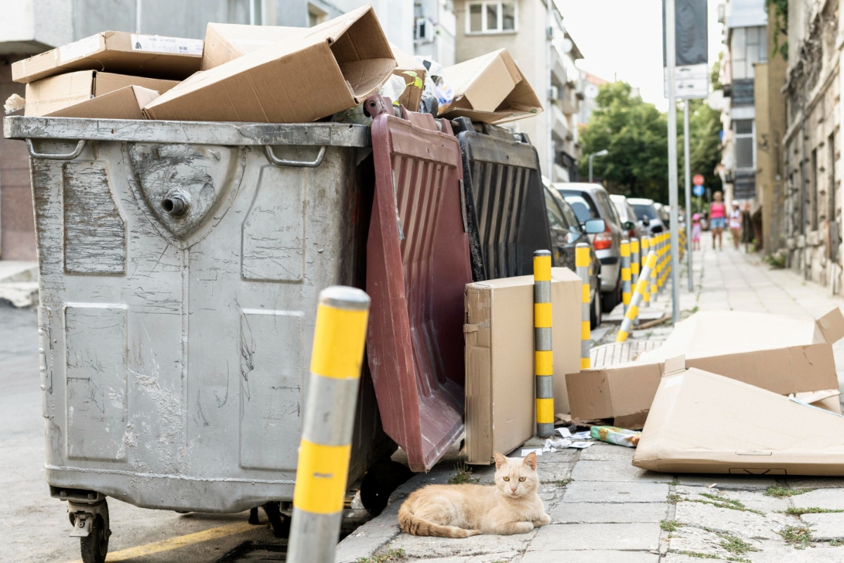 Qué pasa cuando no se gestiona bien la basura en zonas residenciales