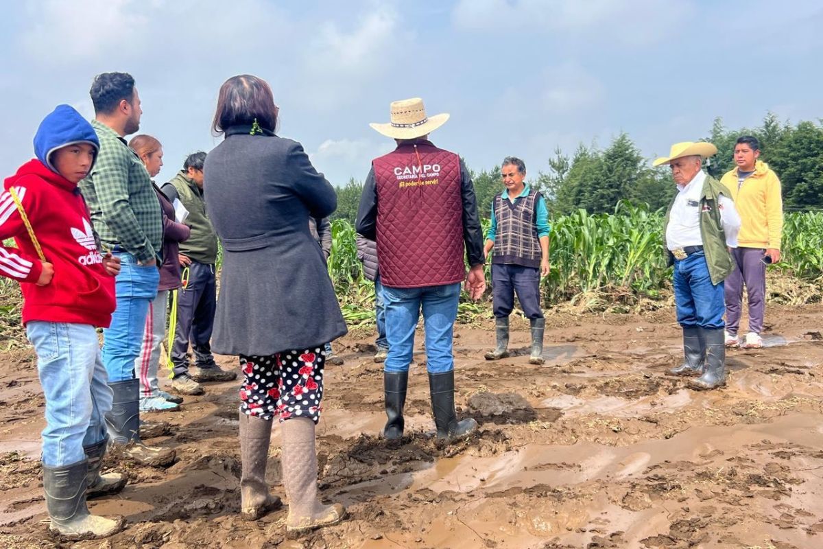 Productores de Tlacuitlapa recibirán apoyos por daños en sus cultivos. Foto: Especial