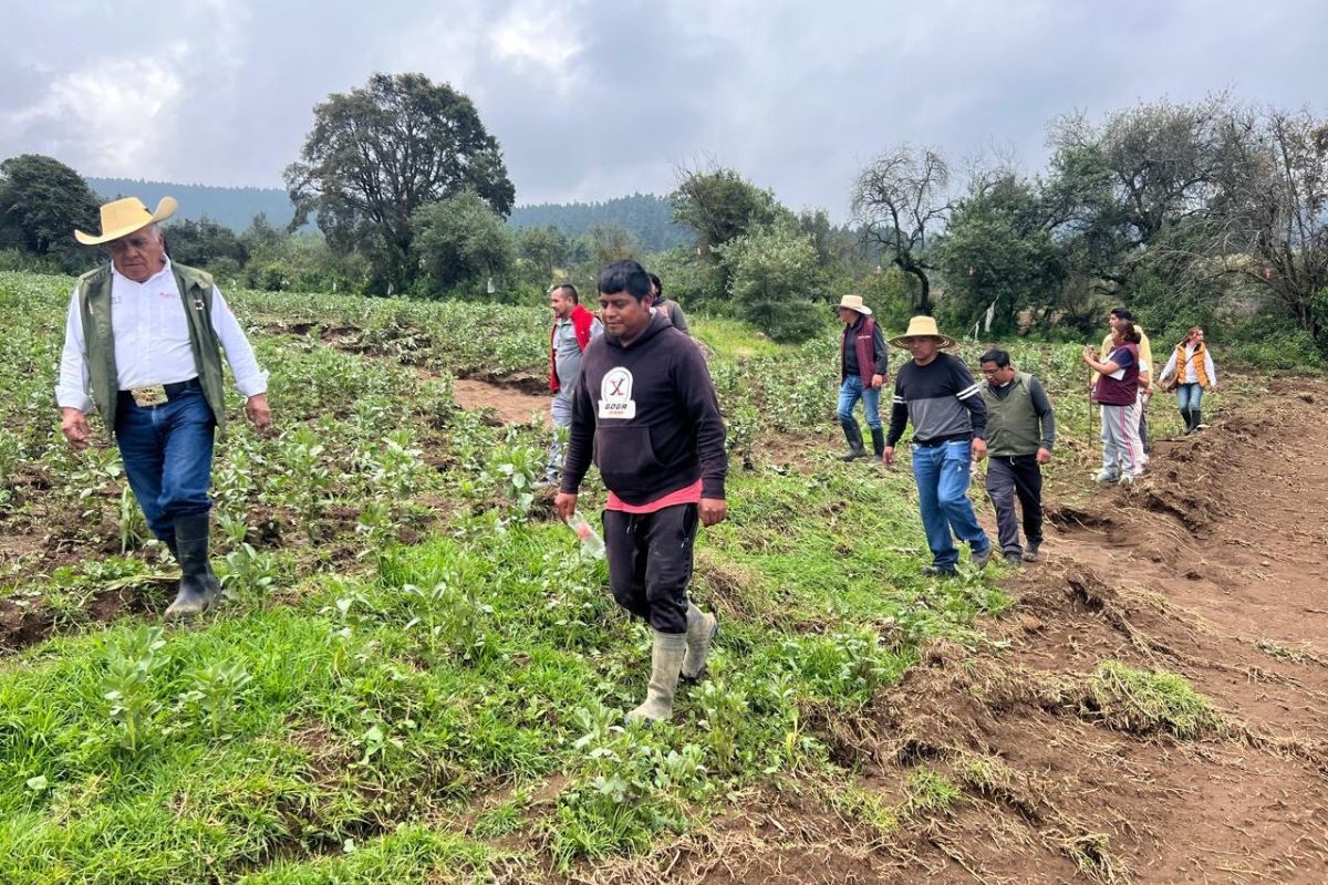 El desbordamiento del río Mazacalco afectó diversas parcelas agrícolas. Foto: Especial