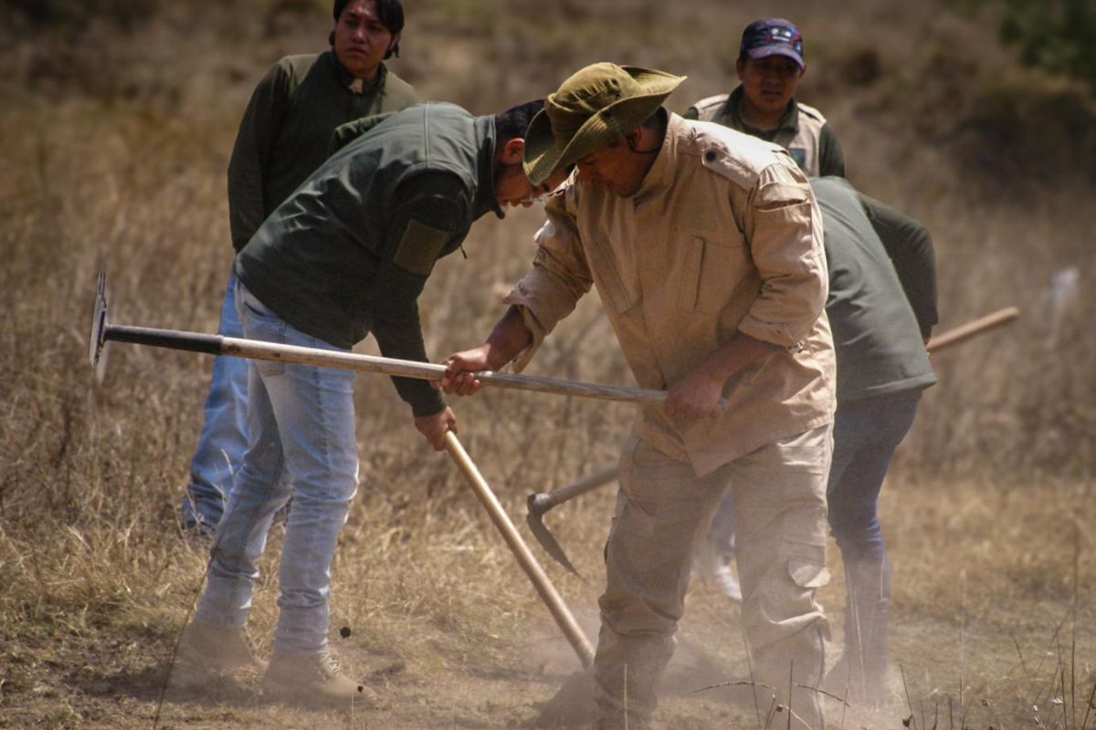 En brigadas y operativos, los padres de la Cepanaf son primera línea en protección ambiental. Foto: Especial