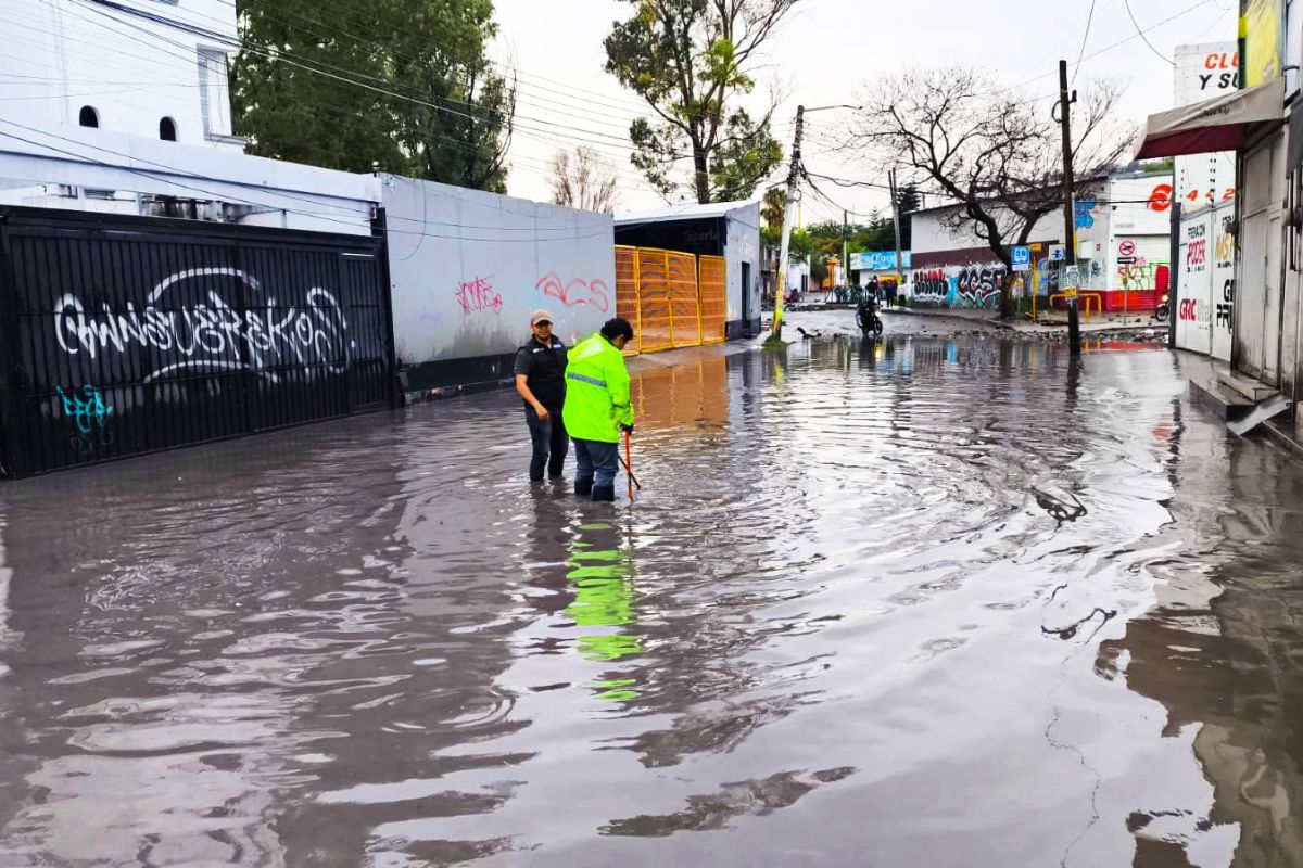 Las aseguradoras ofrecen distintas coberturas para viviendas y cultivos. Foto: Mpio de Querétaro