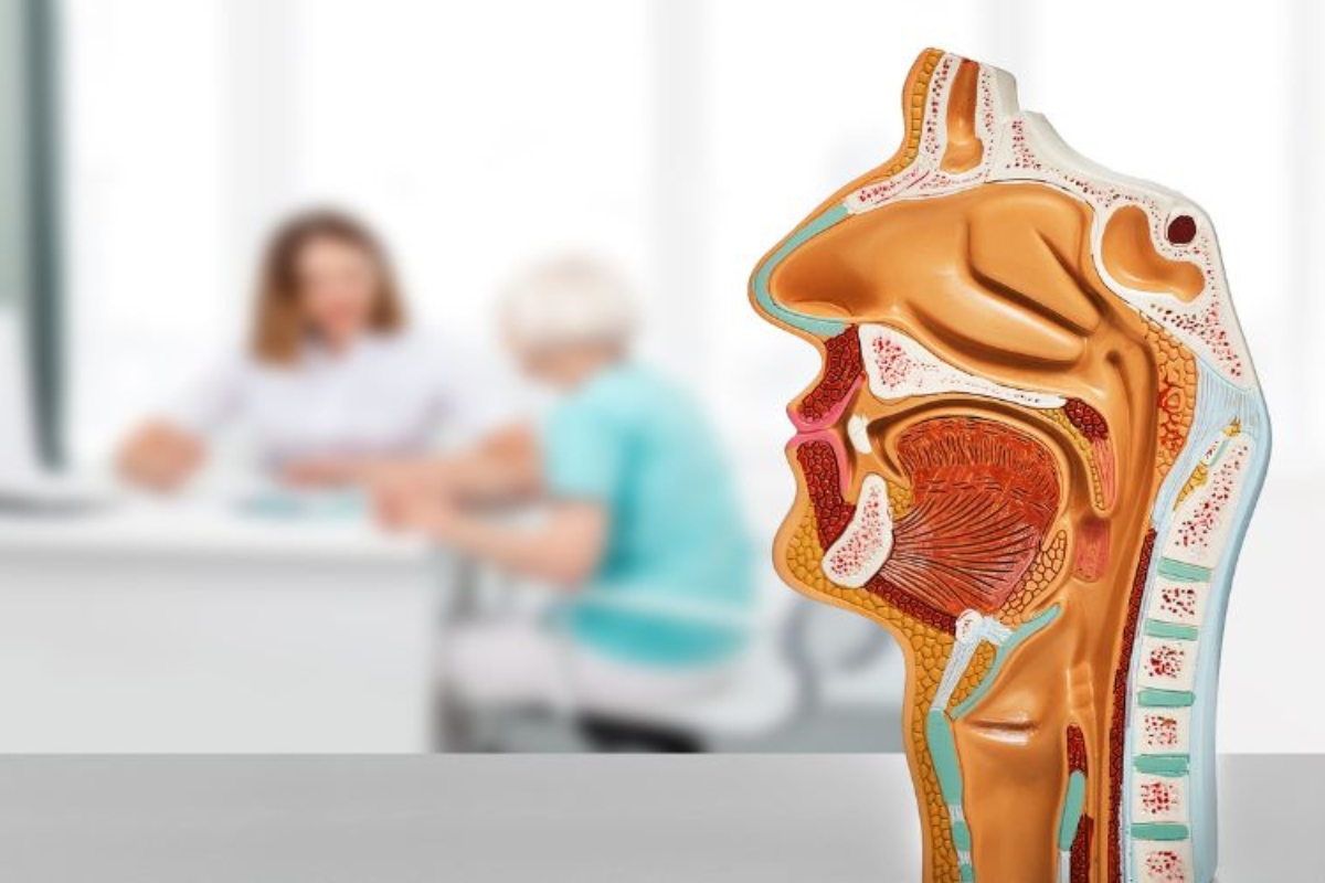 Apnea del sueño: ¿cuál es la causa?