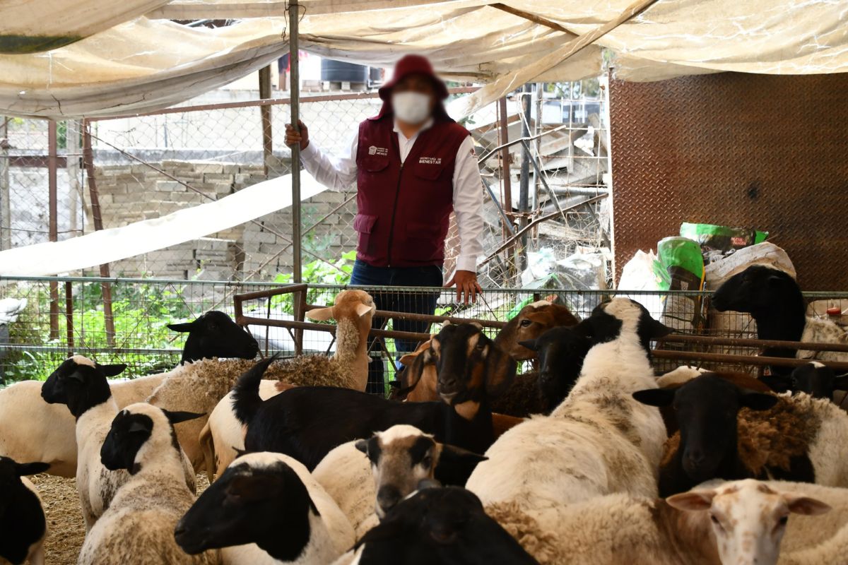 Productos decomisados llegan a comunidades afectadas para mitigar daños sociales. Foto: Especial