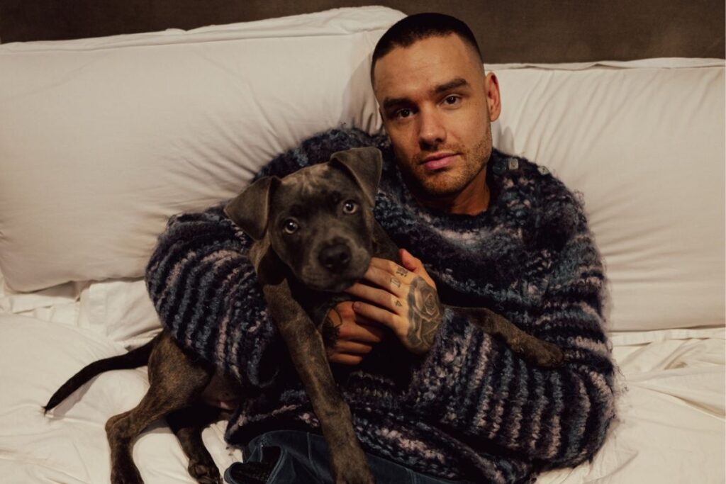 Liam Payne