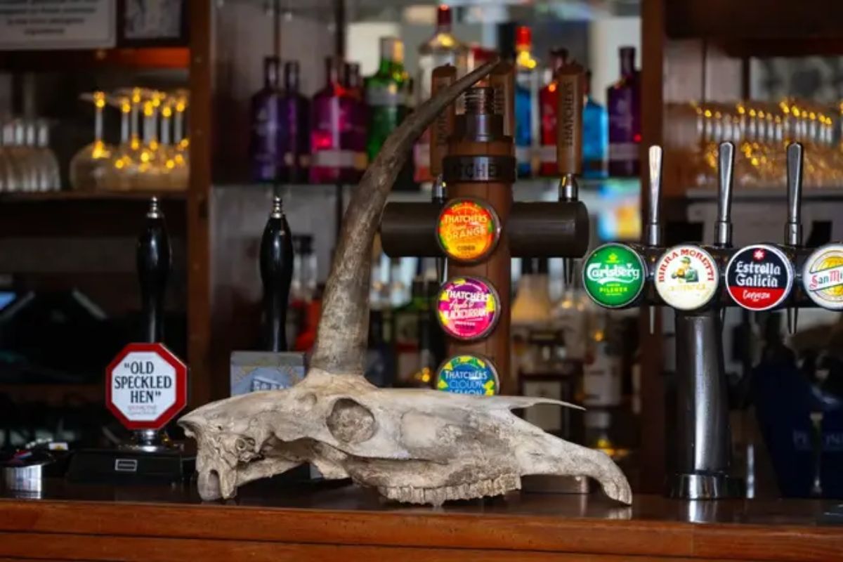 Hallan supuesto cráneo de unicornio en Inglaterra; ¿es real?