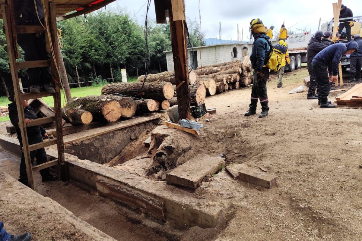 Operativo conjunto en el Bosque de Agua contra tala ilegal. Foto: Especial