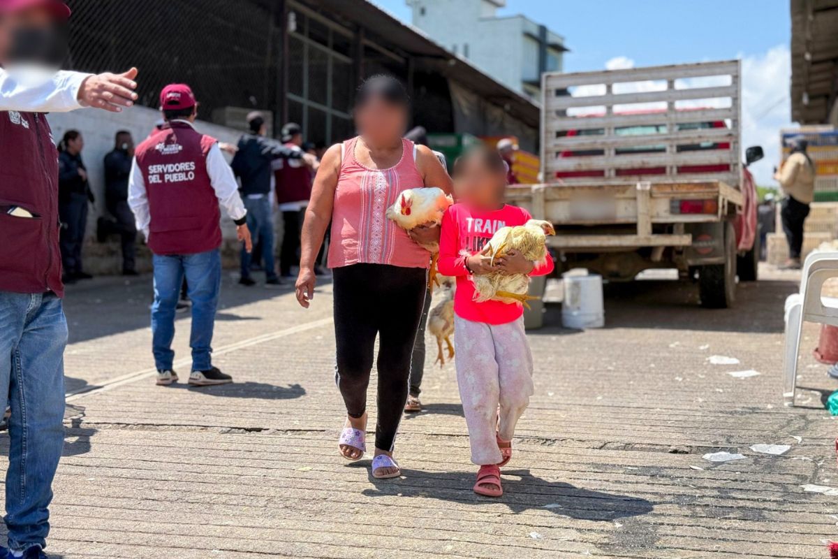 Familias de Sultepec, Ixtapan y Texcaltitlán reciben borregos, cerdos y productos cárnicos. Foto: Especial