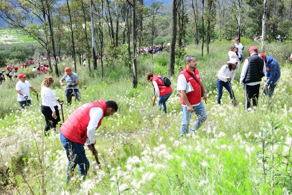Estudiantes, scouts y vecinos se unieron a la jornada de restauración. Foto: Especial
