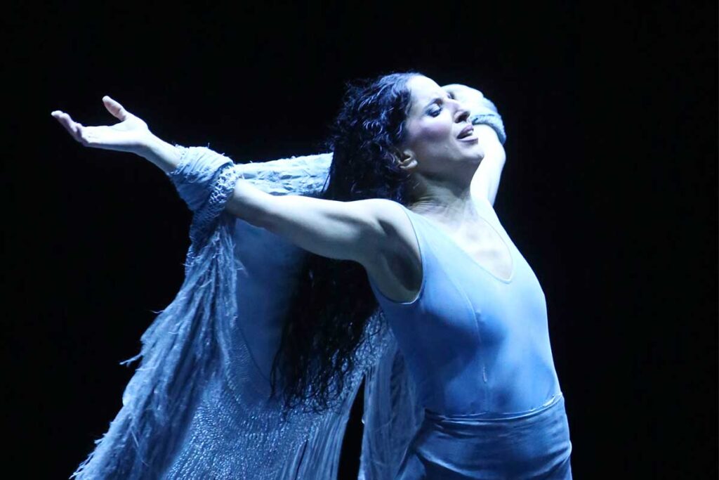 El Festival de Danza Ibérica Contemporánea celebró su clausura con una gran fiesta flamenca