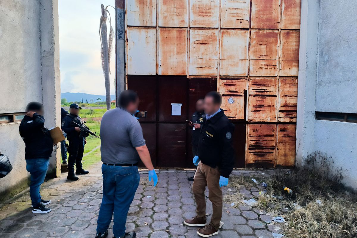 El inmueble donde se encontraron los felinos quedó bajo custodia de las autoridades. Foto: Especial