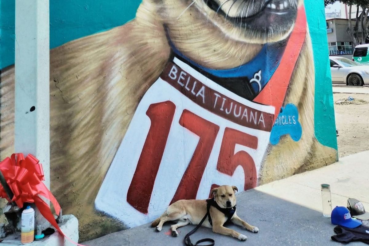 En 2023, un mural lo inmortalizó como ícono de esfuerzo y alegría. Foto: Especial