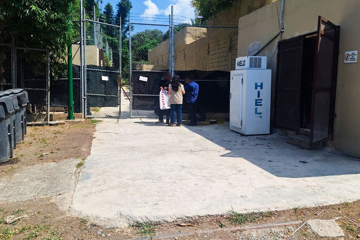 La dependencia anunció nuevas inspecciones a zoológicos de todo el país. Foto: Profepa