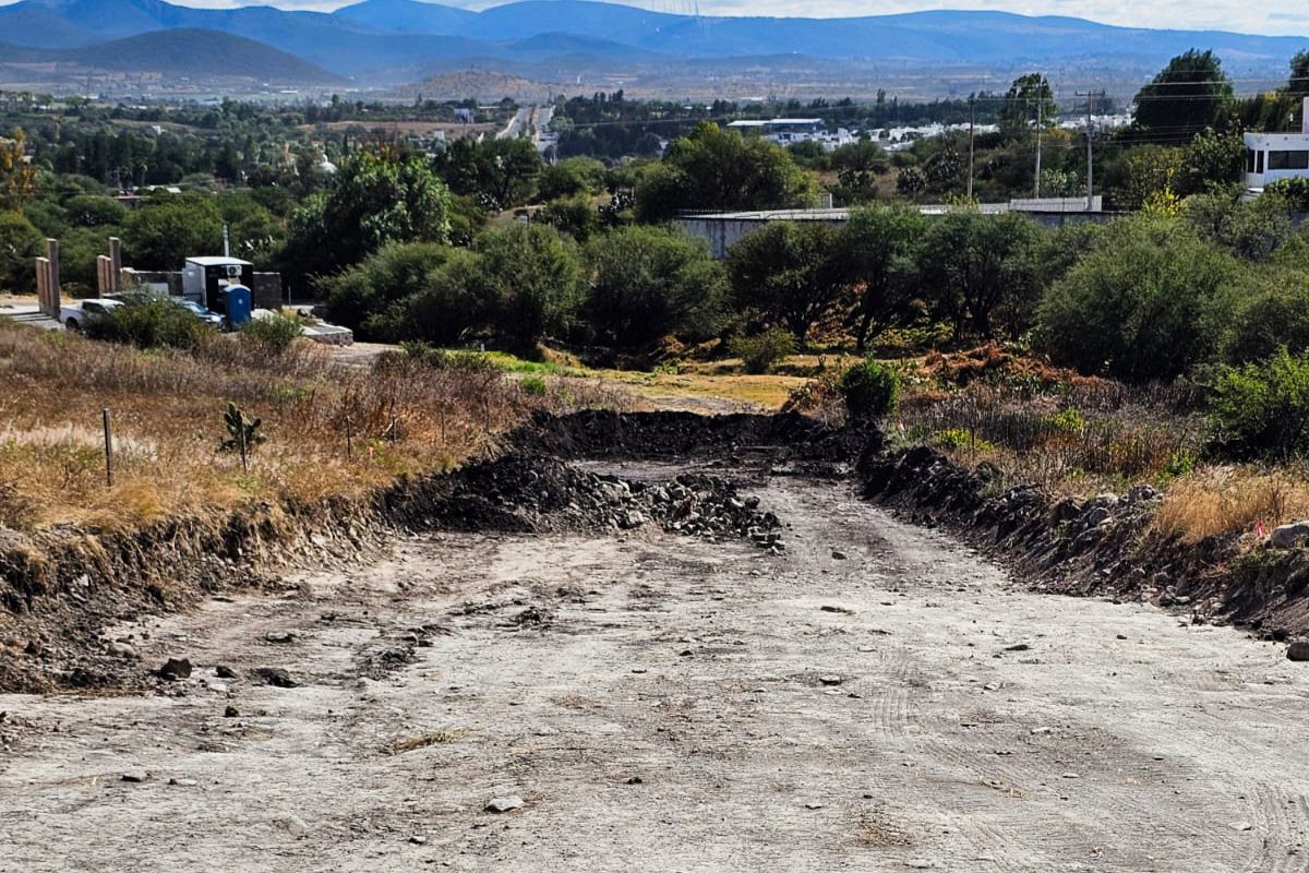 Área desmontada donde se removió vegetación crasicaule sin autorización. Foto: Profepa