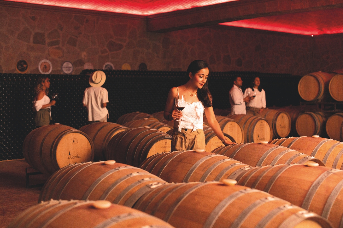 San Juanito la bodega que convirtió un no rotundo en el vino más premiado de Querétaro