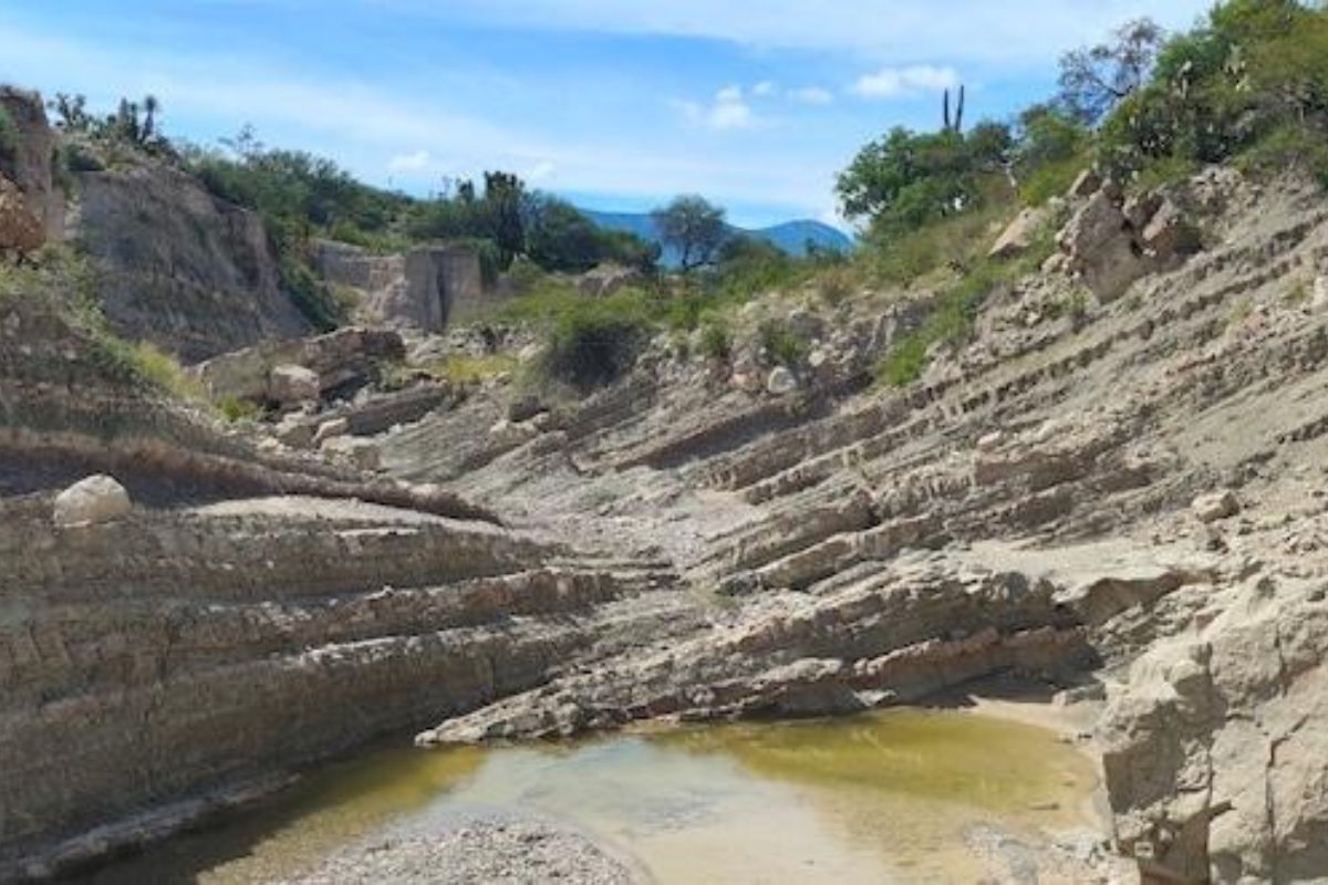 Barranca donde aparecieron rastros de posibles terópodos gigantes. Foto: INAH