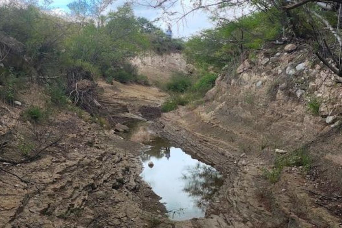 Rastros fósiles de dinosaurios resurgen en municipios poblanos. Foto: INAH