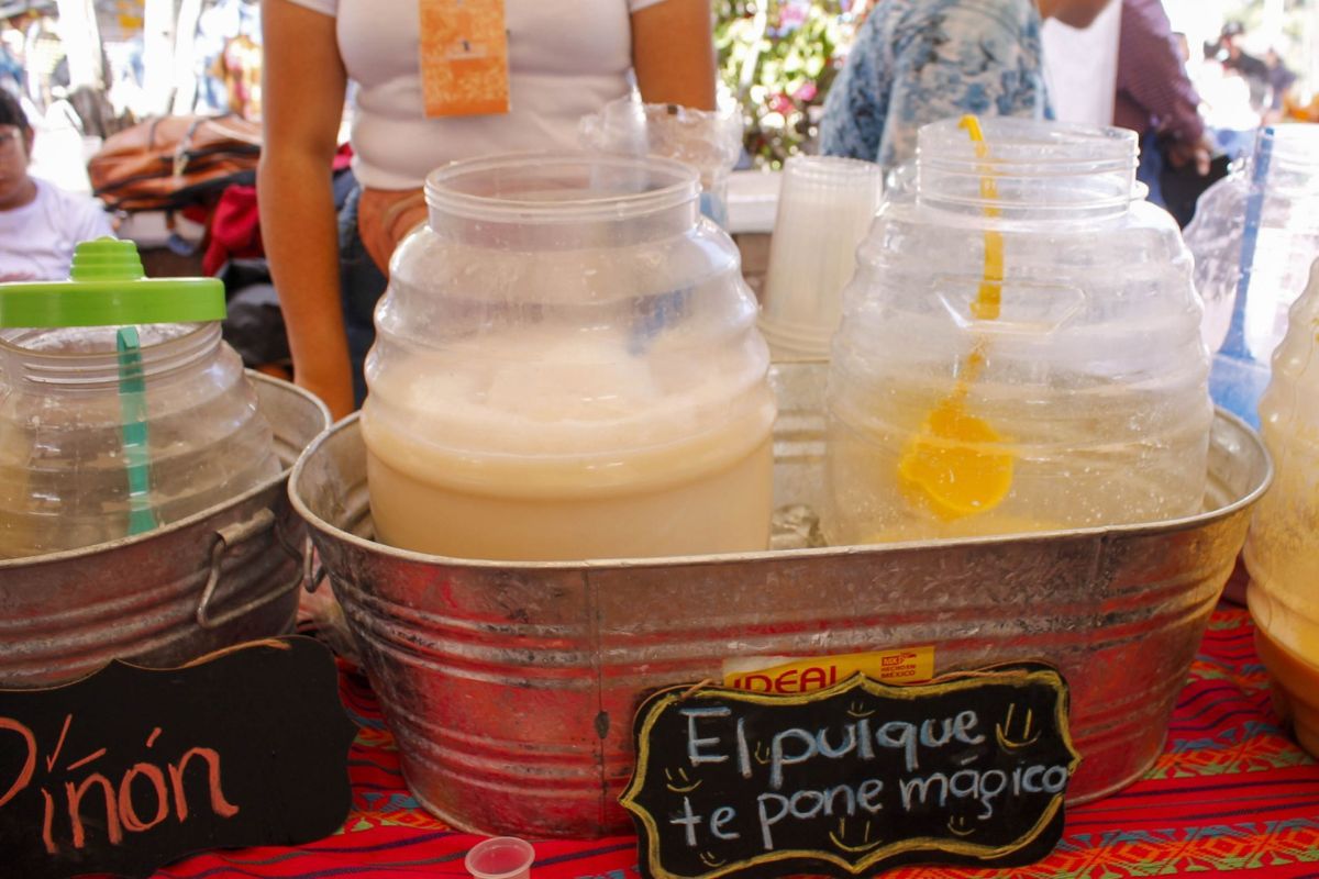 Anuncian festival de pulque en Cadereyta de Montes, Querétaro