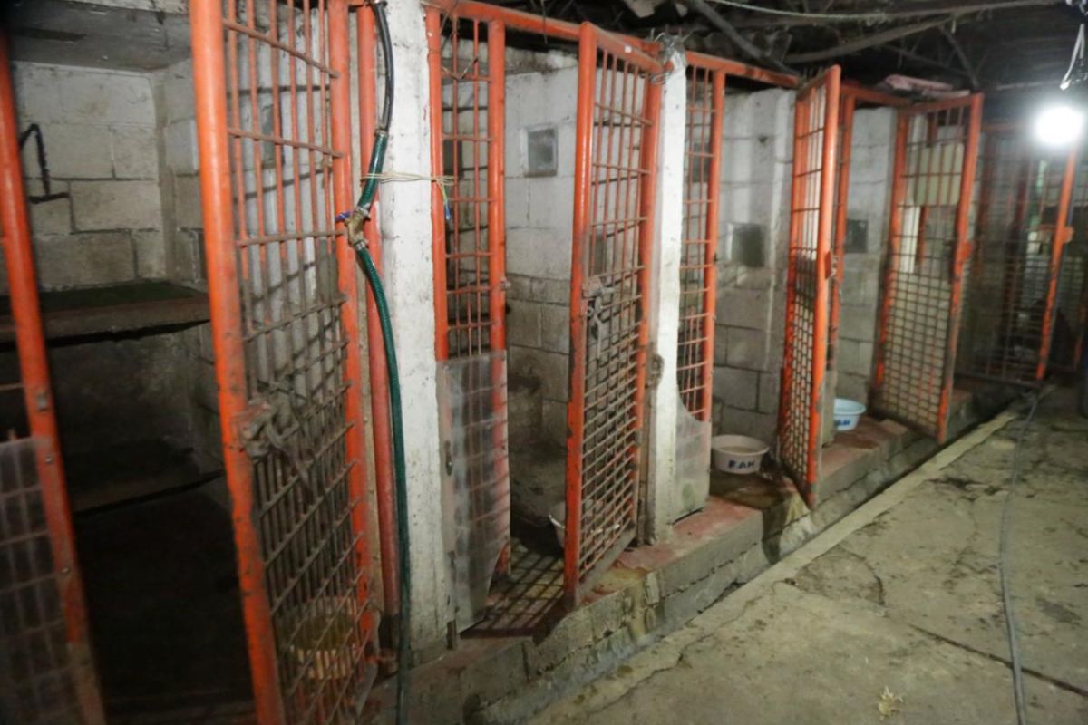Jaulas oxidadas y espacios reducidos donde los animales vivían hacinados. Foto: Gobierno de CDMX