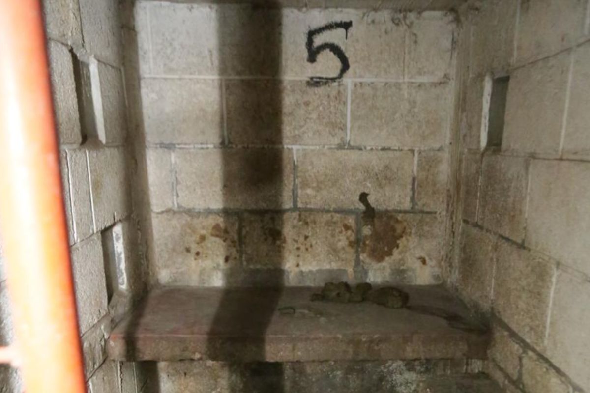 Pisos cubiertos de heces y orina, reflejo del abandono sanitario. Foto: Gobierno de CDMX