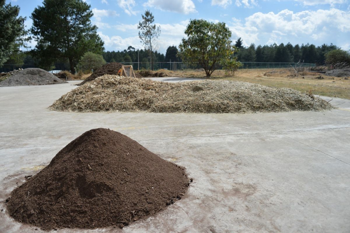 Personal ambiental realiza la trituración del material vegetal. Foto: Especial