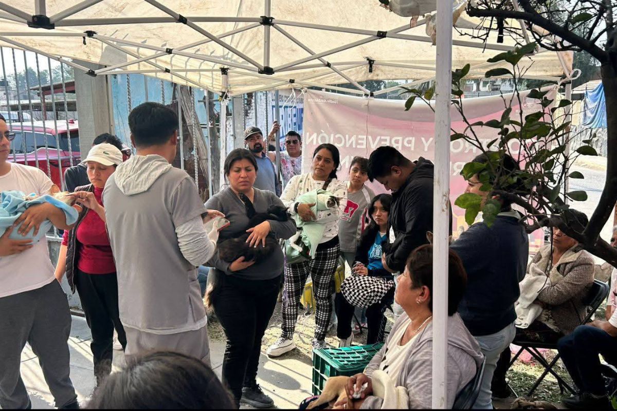 Familias aprovechan los servicios preventivos. Foto: Especial