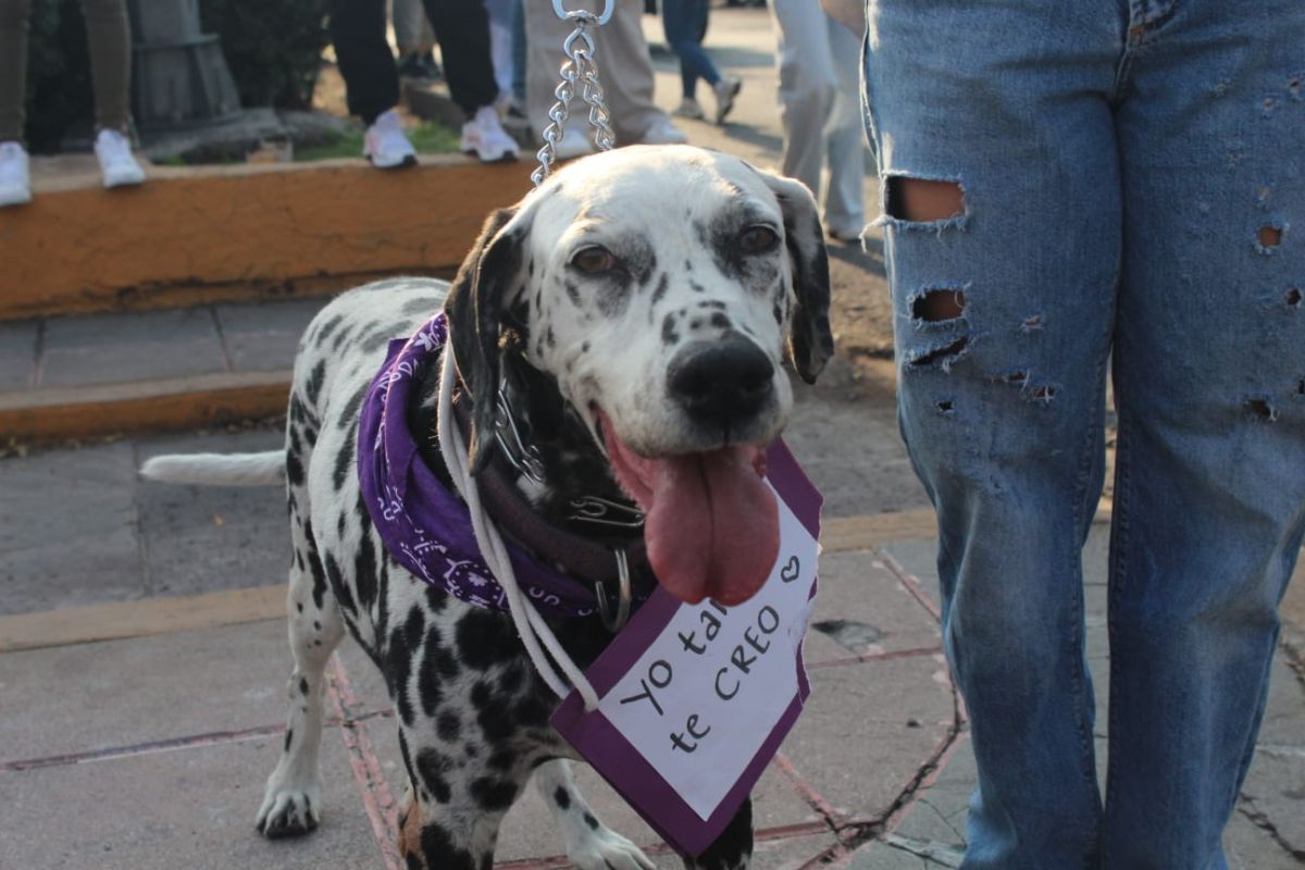 Miles de mujeres hacen sentir su voz en marcha del 8M en Querétaro