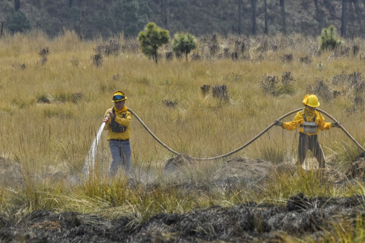 Brigadistas conocidos como “Dragones de Probosque” participan en labores de prevención y combate. Foto: Especial