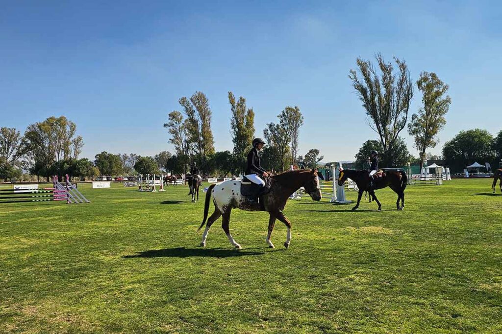 Viñedos San Francisco fue la sede de la primera fecha del concurso de Salto Ecuestre de la FEEQ y Eventos Ecuestres del Bajío