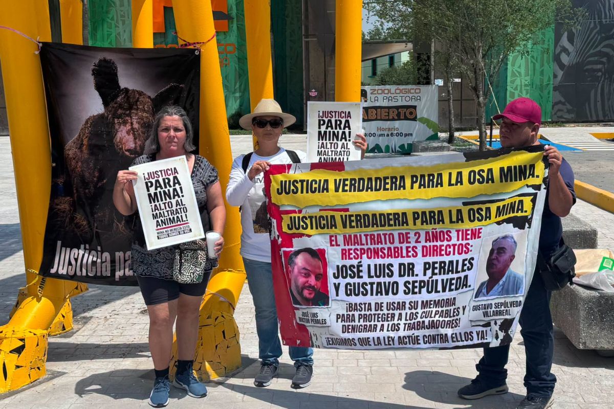 Activistas se manifestaron afuera del zoológico La Pastora para rendir homenaje a la osa Mina y exigir sanciones por presunto maltrato animal. Foto: Especial