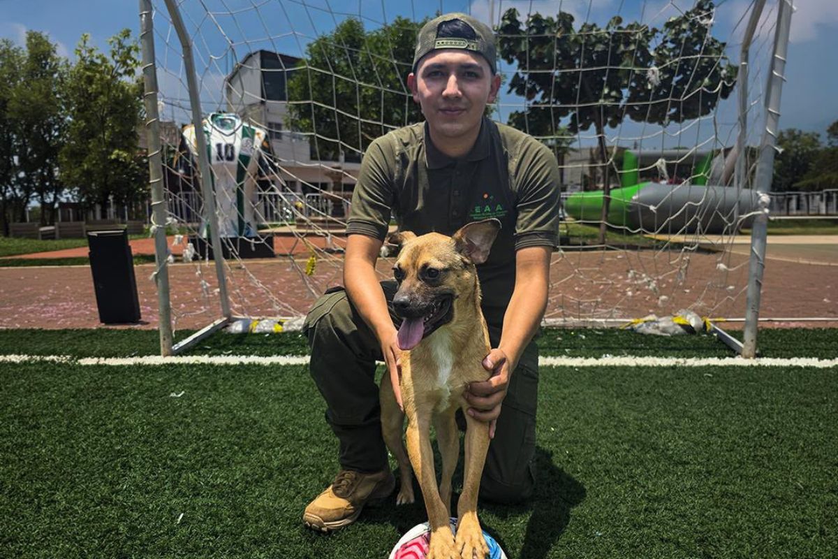 Cada adopción representó una nueva historia de protección y compañía para los lomitos. Foto: GEM