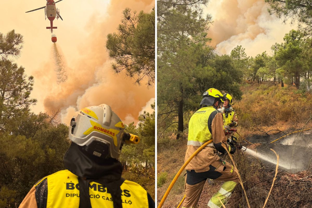 Las altas temperaturas y la sequía favorecen incendios de comportamiento extremo en Europa. Foto: Especial